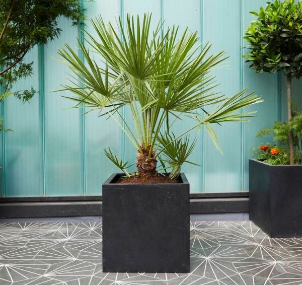 Tropical Orchid & Bamboo Vase - Image 2