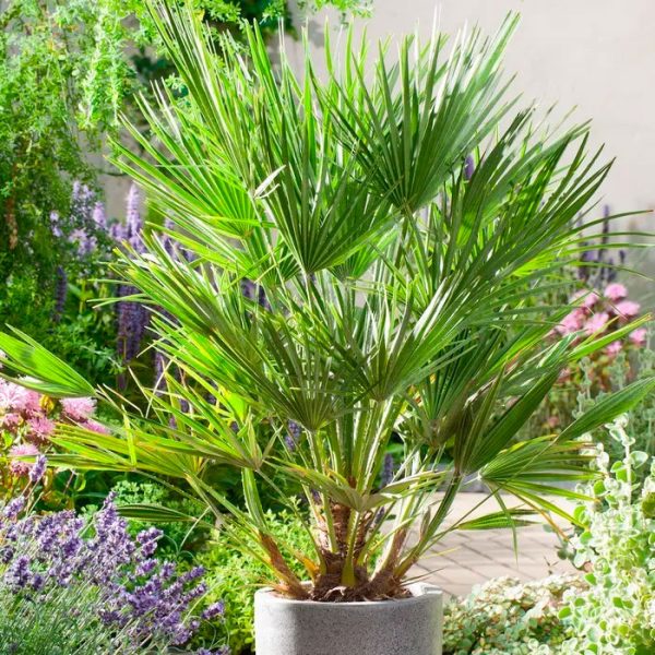 Tropical Orchid & Bamboo Vase